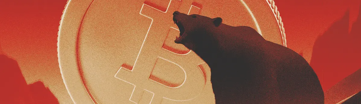 Bear Market in Crypto: Curse or Blessing?