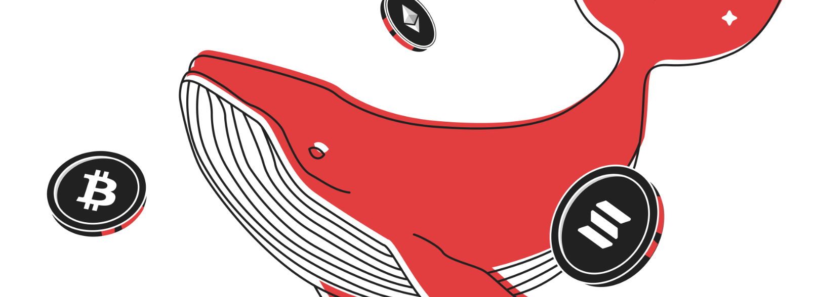 Whale Watching as Career: Following the Bigger Fish
