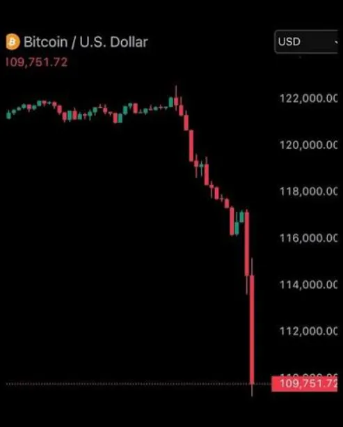 Crypto WallStreetBets - เมื่อนักพนันค้นพบบล็อกเชน