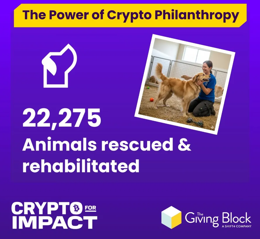 Paano Binabago ng Crypto ang Pet Industry