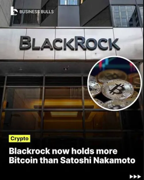 Bärenmarkt bei Krypto: Fluch oder Segen?