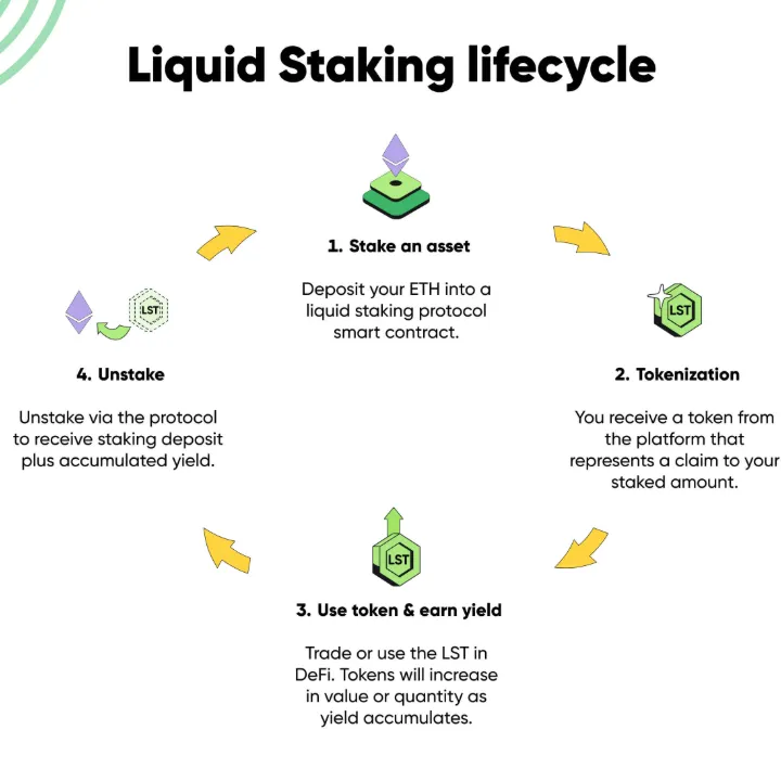 Liquid Staking vs. Staking tradicional: ¿Vale realmente la pena?